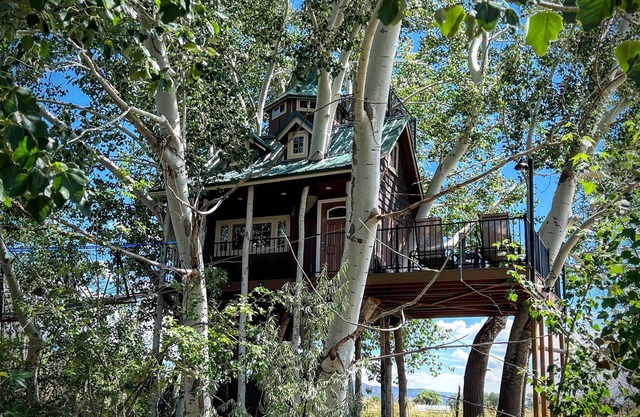 Fantasy Treehouse and Resortn
