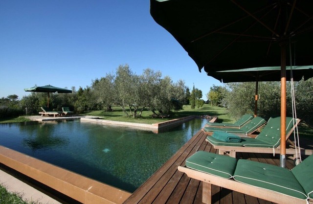 Farmhouse Gli Ulivi, wonderful farm with view on Lake of Chiusi - apartment Tramonto
