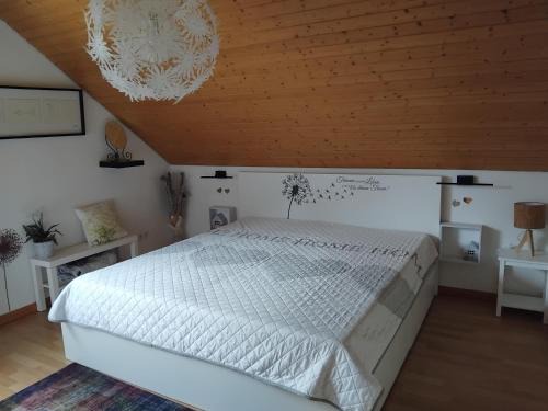Ferienwohnung Monteurwohnung Pusteblume