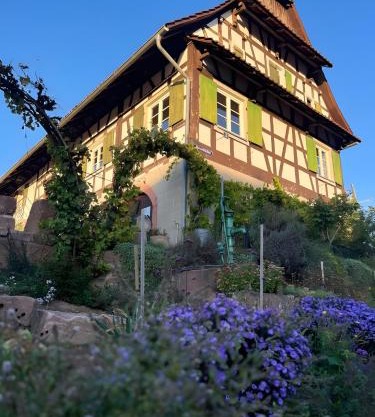 Fewos Weingut Pieper Basler