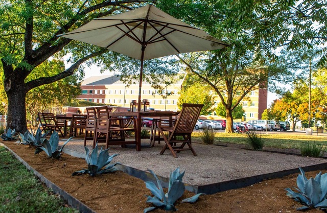 Finally a better way to visit Waco! Minutes from Magnolia Market/McLane