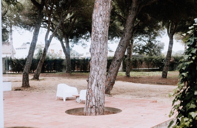 Finca Laida