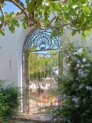Finca Olivo Llorón