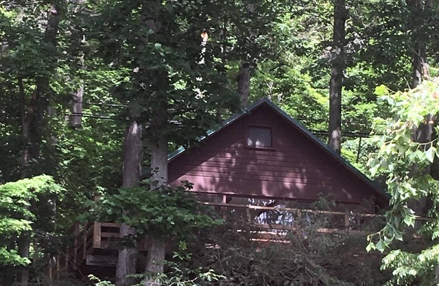 Finger Lakes Cabin with over 200' of Inviting Lakefront!