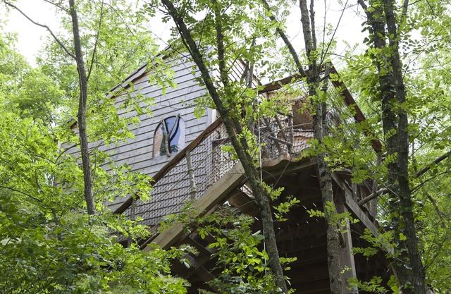 Fisherman Tree house & SPA - France Loire Valley - for Family/with confort