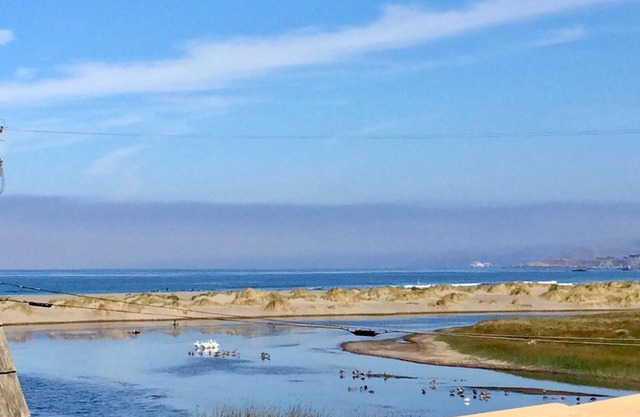 Fishermans Cottage~Warm&Cozy Seaside Cottage in Bodega Bay,Walk to Beach/WiFi