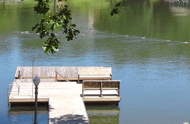 Fishing Tournaments, Auburn Games