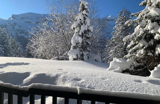 Flaine apartment rental 4/6 people non-smoking, garden and close to slopes