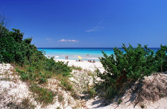Flat for 4 People in Apulia in front of the Sea