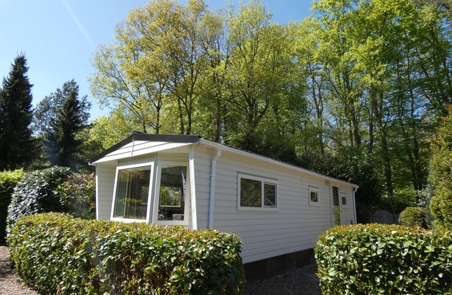 Forest cottage 24