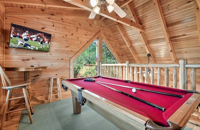 Free Dollywood Tix/Dog Friendly/Pool Table