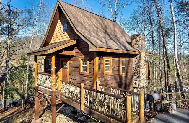 Free Dollywood Tix/Treehouse/Dog Friendly/Couples