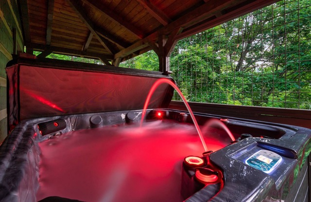 Free Dollywood Tix/Amazing Views/Hot Tub/PoolTable