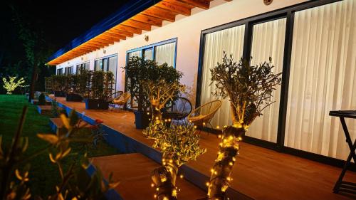 Frenki'S Residence
