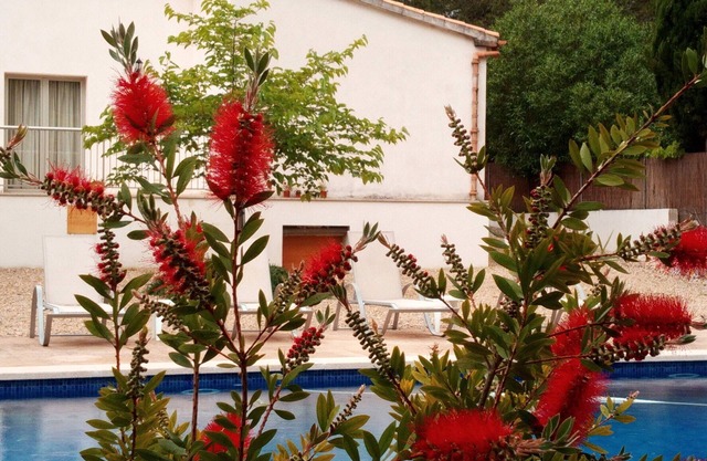 Friendly villa with private pool, wifi connection, barbecue and mountain views