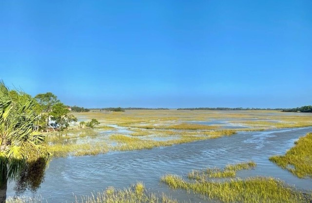 FRIPPNOUT'RAGEOUS Fripp Island Condo with OUTRAGEOUS Marsh Views! n