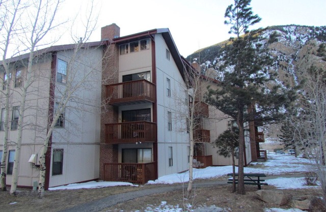 Fully Furnished Georgetown CO Ski Condo. Across street from lake, 1 Br Plus Loft