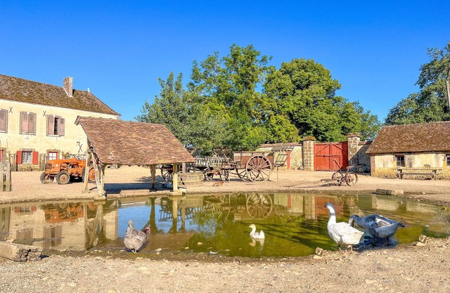 Gîte à la Ferme . À 9km de Guédelon, à 800m du Château de Saint-fargeau