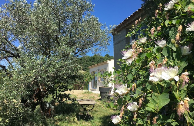 Gîte 10 minutes from Vaison la Romaine