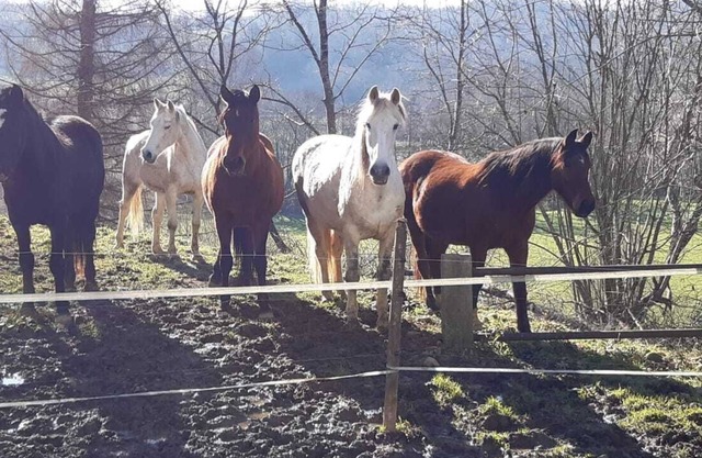 Gîte 4 Étoiles Dans une Ferme Béarnaise 2/4 Pers. en Plein Coeur du Jurançon