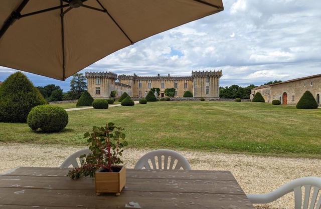 Gîte charmant au cœur d'un château historique avec parc, proche de Cognac, idéal famille et nature - FR-1-653-167