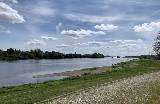 Gîte des Bords de Loire - 50m de la Loire à Vélo - Meuble de Tourisme 4 Étoiles