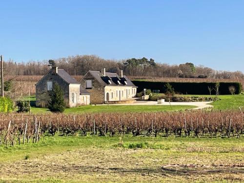 Gîte viticole tout inclus, jardin 3000m², vélos offerts, proche Saumur-Chinon-Langeais - FR-1-381-606
