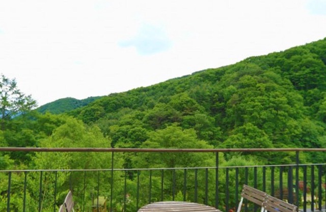 Gapyeong Fore House Pension
