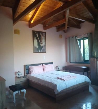 Garavelas Home Το σπιτι στην Καστανιανη Μαστοροχωρια Κονιτσα