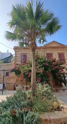 Gardino di Chios Mediovale