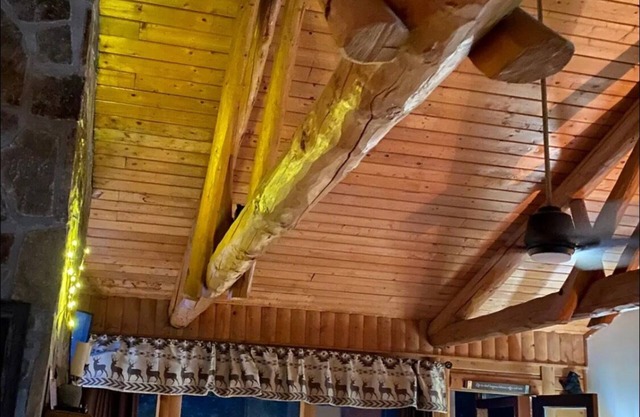 Gatlinburg Cabin PET FRIENDLY! True mountain views, hot tub, wood fireplace!