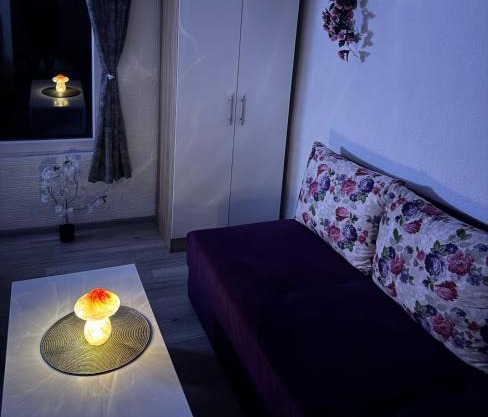 Georgeous lux apartment