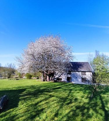 Gerestaureerde hoeve met zicht