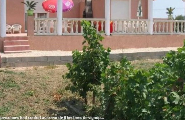 Gite 2 in the heart of 6 hectares of vineyard - Saint-Laurent-de-la-Salanque