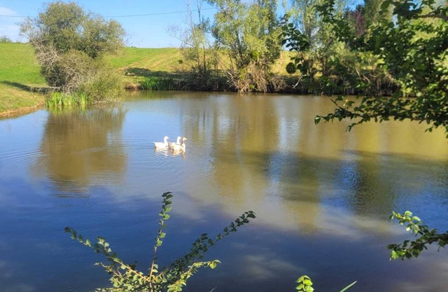 Gîte Le Grand Castillon - Fishing in private ponds and forest - Jacuzzi (optional)