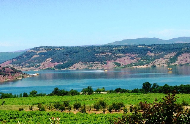 Gîte Ceberou facing the lake, shared garden and swimming pool