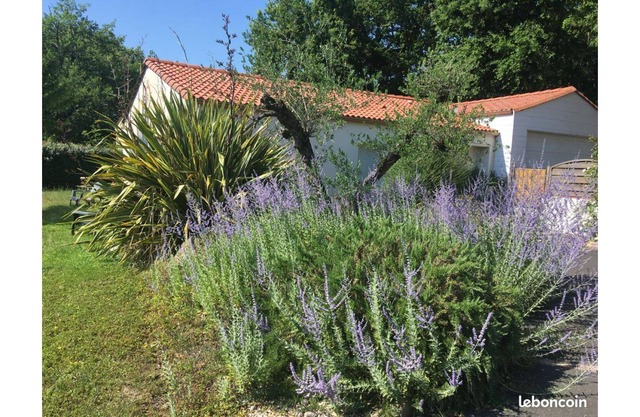 Gite de la Liniere in Saint-Georges de Montaigu, Montaigu-Vendée