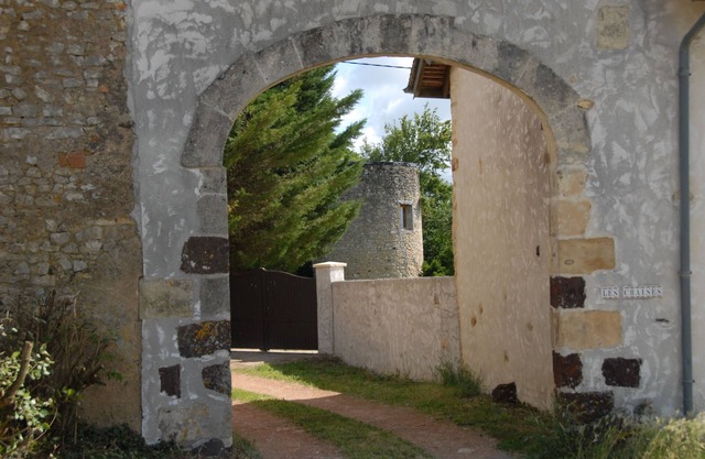 - Gîte des Moineaux among the vines (Welcome to Pets)