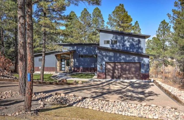 Glass Forest in Pagosa Springs
