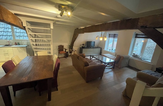 GOG E - Cozy Lofts Haarlem