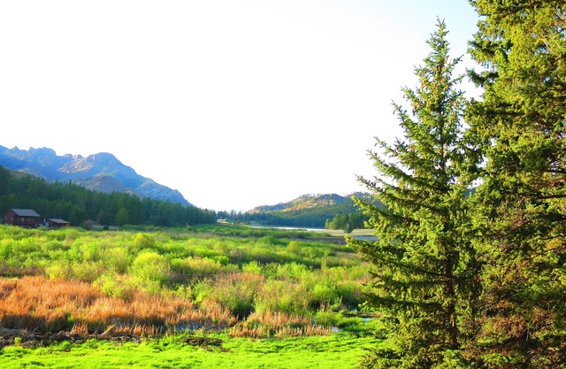 GORGEOUS MOUNTAIN RETREAT WITH PANORAMIC VIEWS, PIKES PEAK NATIONAL FOREST