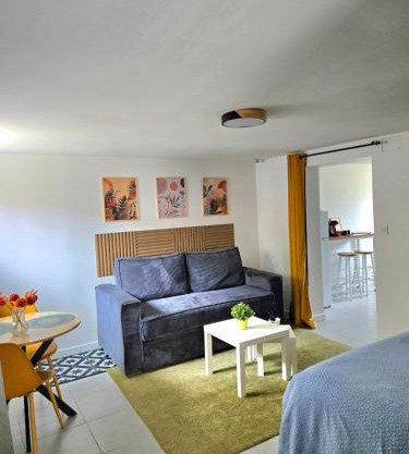 Grand studio cosy proche Paris
