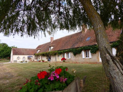 Grande ferme rénovée avec confort moderne et climatisation - FR-1-489-392