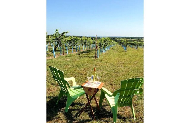 Grapeseed: Your Peaceful Vineyard Retreat
