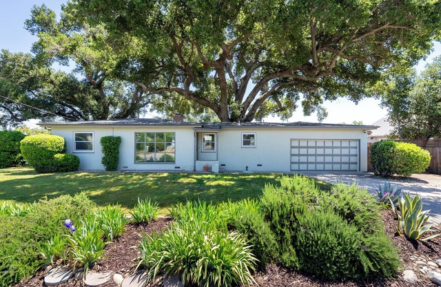 Great-Granddaddy's Oak Invites You into Downtown Paso Robles and Relaxation