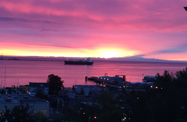 Great Harbor Views, Walk to Victoria Ferry and downtown, Roomy Apartment!