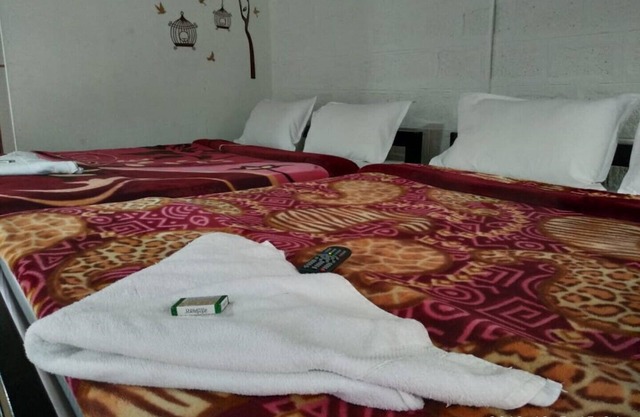 Green hills farm and guest house aachakarai masinagudi