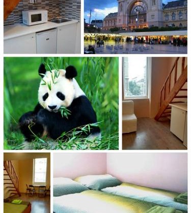 Green Panda Apartments