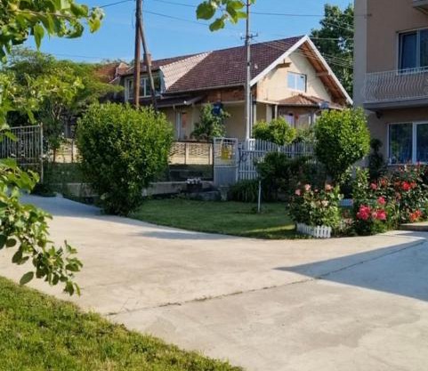 Green Village Life