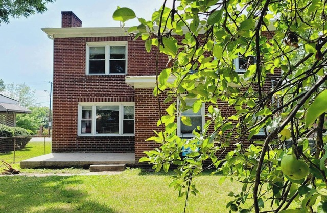 Greensboro Central Downtown House w/large backyard -entire house